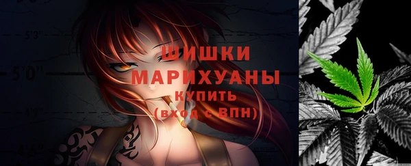 гашик Зеленокумск