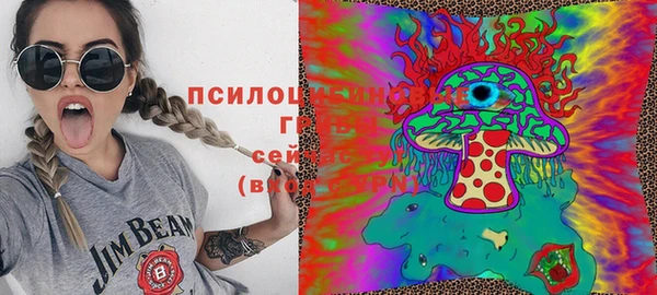 хмурый Зерноград