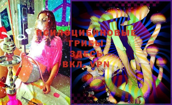 хмурый Зерноград