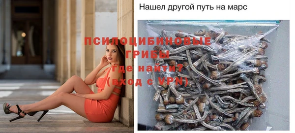 хмурый Зерноград