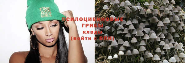 гашик Зеленокумск